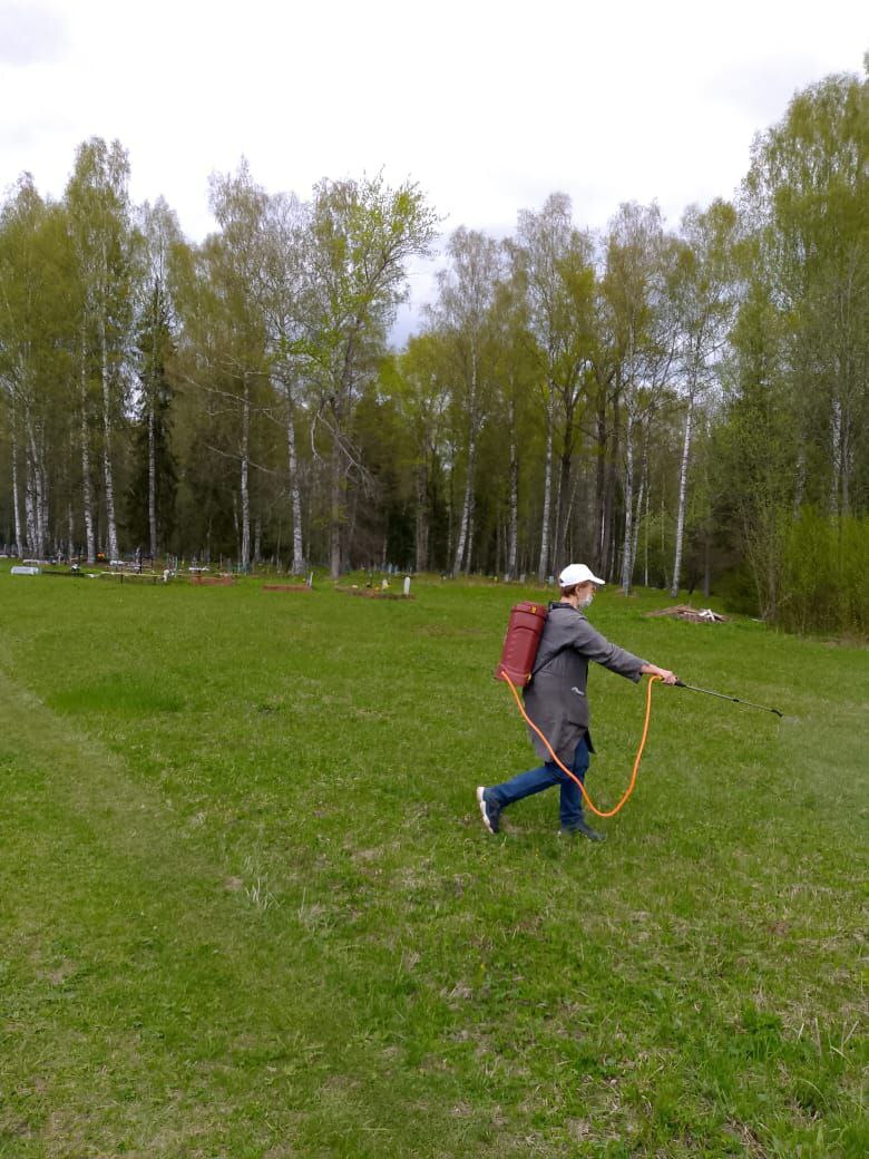 Обработка территорий.