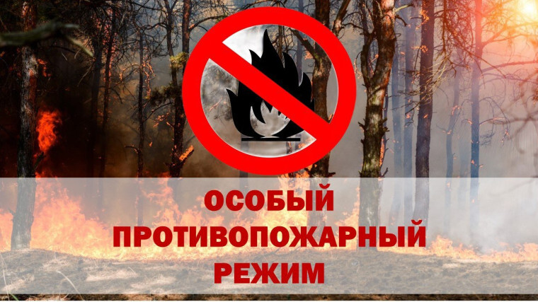 В лесах Кировской области установлен особый противопожарный режим..