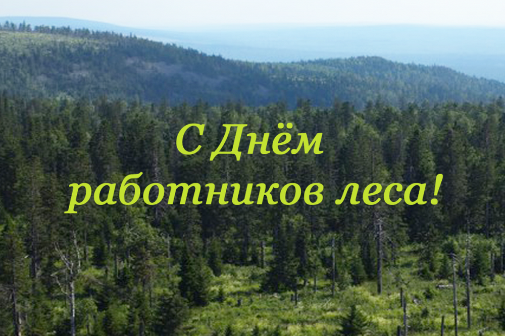 Поздравление Губернатора Кировской области Александра Соколова с Днем работников леса.