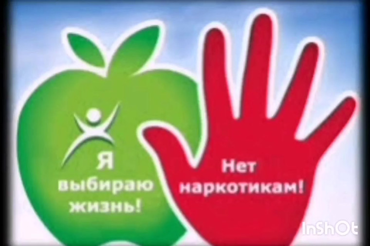 Конкурс на лучший антинаркотический социальный проект. Конкурс на лучший антинаркотический социальный проект.